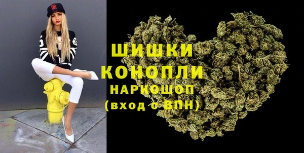 гидра Карпинск