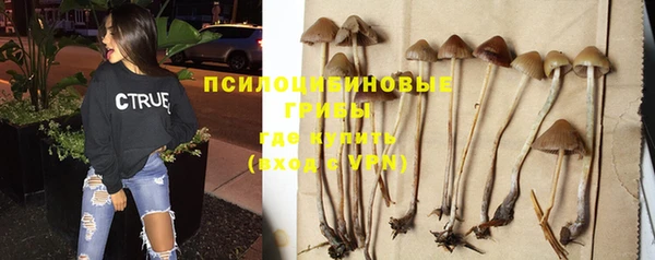 гашиш Каменногорск