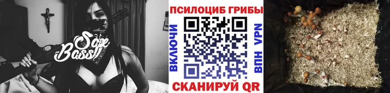 Псилоцибиновые грибы Psilocybine cubensis Купить где Верея