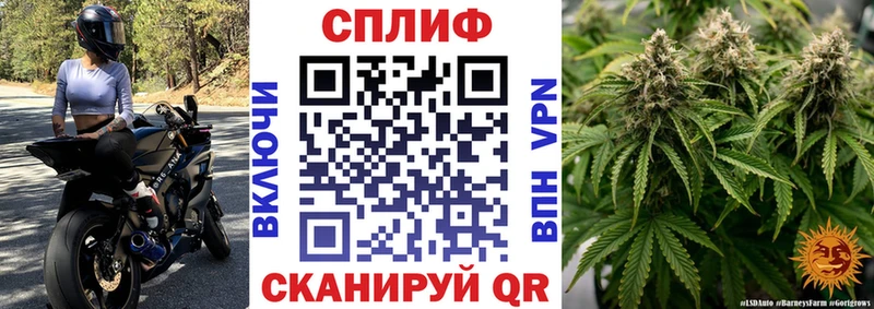 Бошки Шишки Ganja Верея